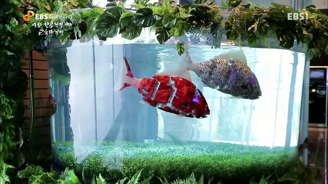 EBS 다큐프라임 - '4차 산업혁명시대 교육대혁명' 1부- AI와 인간의 공존은 가능한가_#001