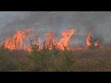 Ora News – Dy vatra zjarri në Shkodër, flakët në Tarabosh rrezikojnë antenat