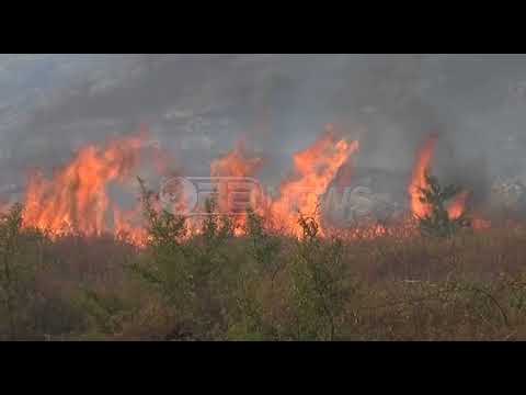 Ora News – Dy vatra zjarri në Shkodër, flakët në Tarabosh rrezikojnë antenat