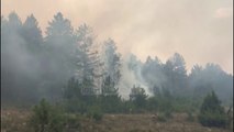 Shuhet zjarri në Bushat, 8 vatra në gjithë vendin - Top Channel Albania - News - Lajme