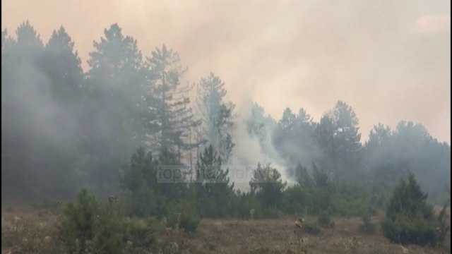 Shuhet zjarri në Bushat, 8 vatra në gjithë vendin - Top Channel Albania - News - Lajme