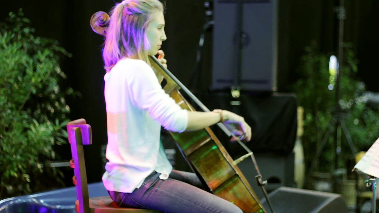 Animation de violon en Belgique par francois-dupont.be