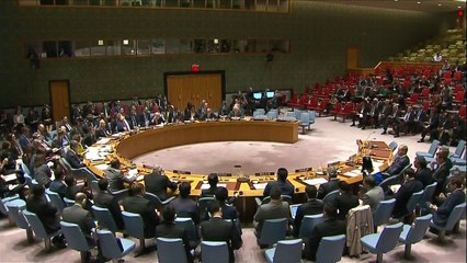 Rússia veta resolução da ONU