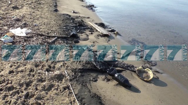 ASNJE NDERHYRJE PER TE PASTRUAR BREGDETIN NE ZVERNEC - News, Lajme - Kanali 7