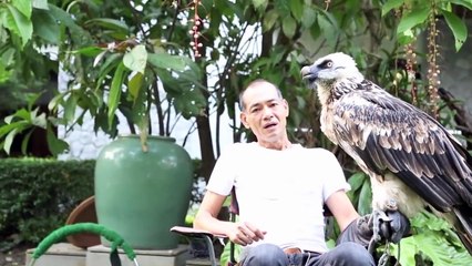 10 Amazing Animals You Would Like To Have