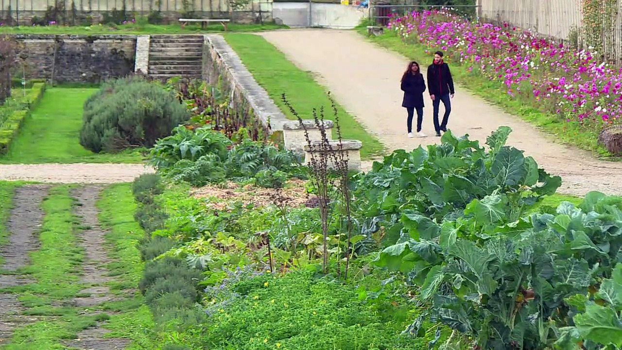 A Versailles, les mécènes au chevet du potager du roi