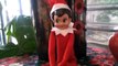 Elf On a Shelf Caught on MOVING on Camera *REAL* (Elf On Shelf Compilation) Elf on shelf moving