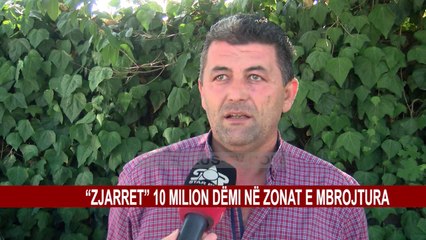 “ZJARRET” 10 MILION DËMI NË ZONAT E MBROJTURA