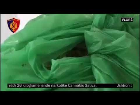 Ora News - Vlorë - Policia shkon për arrestuar për dhunim të gruas, i gjen 26 kg kanabis
