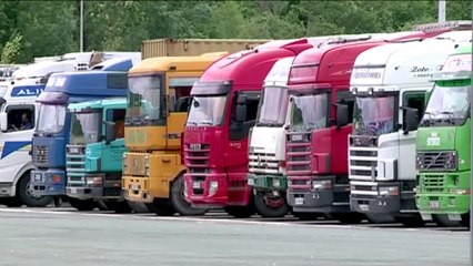 Dëmet nga të nxehtit, gjysma e bujqësisë u tha - Top Channel Albania - News - Lajme