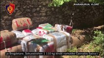 Vlorë, sekuestrohet mbi 1 ton kanabis në Karaburun - Top Channel Albania - News - Lajme