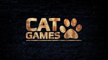 CAT GAMES - LASER POINTERS (VIDEOS FOR CATS TO WATCH)