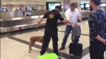 Alman Yolcuların Bagajlarında Atatürk Havalimanında Köpekli Arama