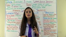 Stages of Labor Nursing OB for Nursing Students | Stages of Labour NCLEX Explained Video Lecture
