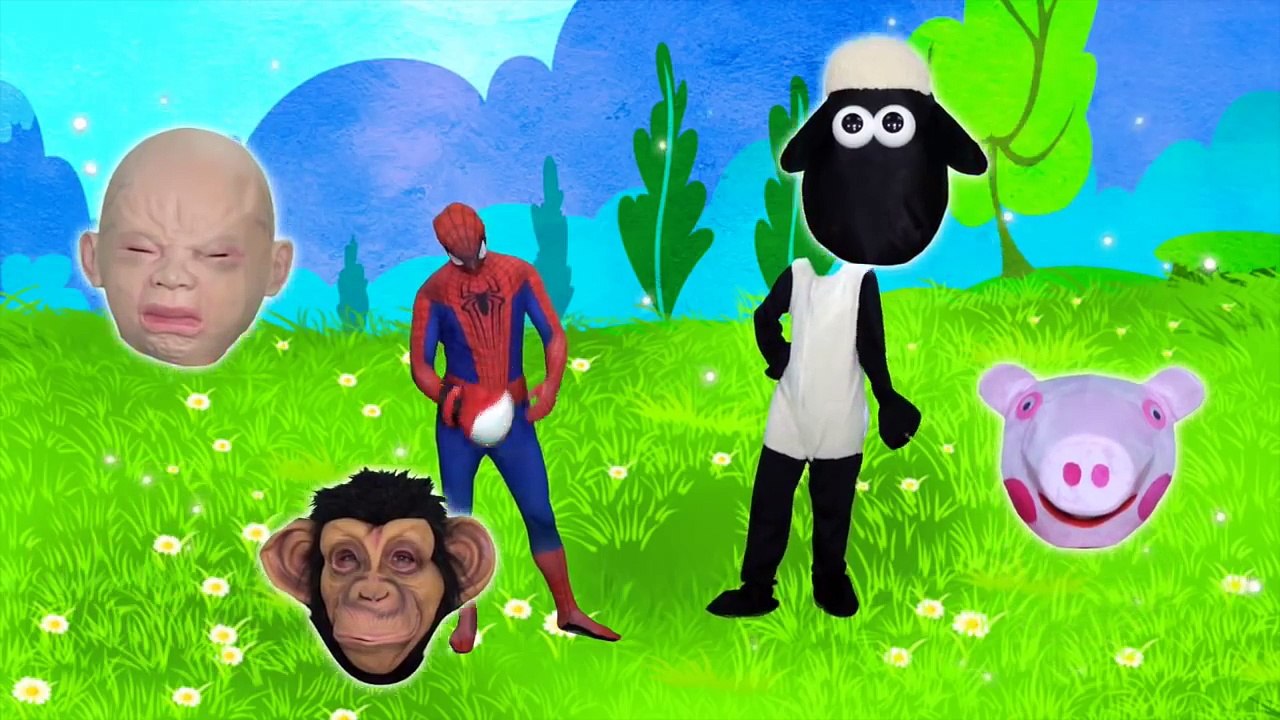 Wrong Heads Eggs Baby Gorilla Little Elsa Little Pig Baby Crying Finger Family Nursery Rhymes