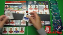 Coca Cola PANINI Sticker UEFA FRANCE EURO 2016 PANINI Frankreich OFFICIAL Lucky Bag ALBUM EM #116