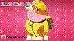 PAW PATROL PEPPA PIG COSTUMES Español TRANSFORMS INTO PAW PATROL RUBBLE SKYE ROCKY CHASE RYDER