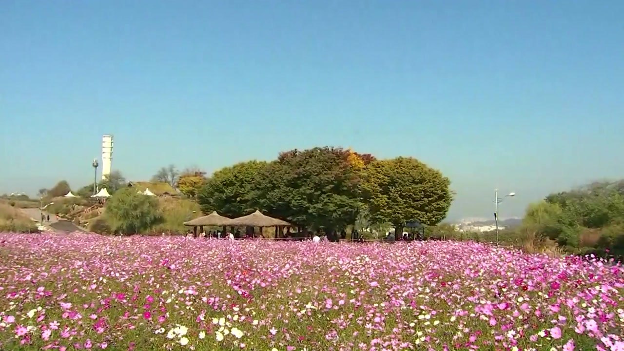 [날씨] 출근길 곳곳 안개주의보...낮 동안 쾌청한 가을 / YTN