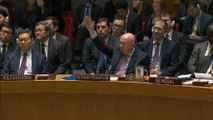 Inchiesta armi chimiche in Siria: veto russo al prolungamento