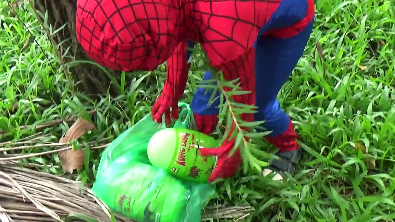 Siêu Nhân Nhện săn trứng Khủng Long - Bóc Trứng Khủng Long - Dinosaur surprise eggs - Kids toy