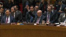 Russia vetoes Syria gas attack probe