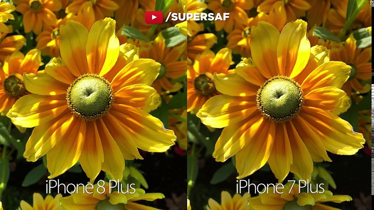 iPhone 8 Plus vs 7 Plus Camera Test Comparison