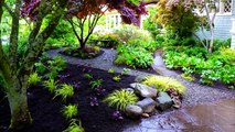 55  Front Yard and Backyard Landscaping Ideas