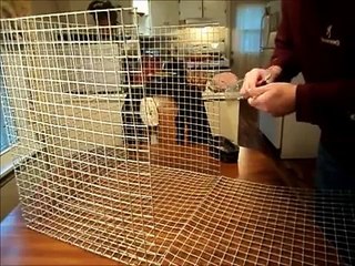How To Build A Small Animal (Rabbit/Bird) Cage DIY