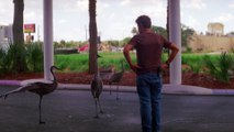 The Florida Project - No Harm No Fowl