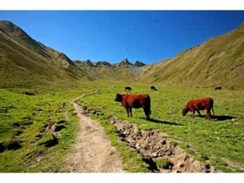 Nettoyage du capteur d'un reflex numérique