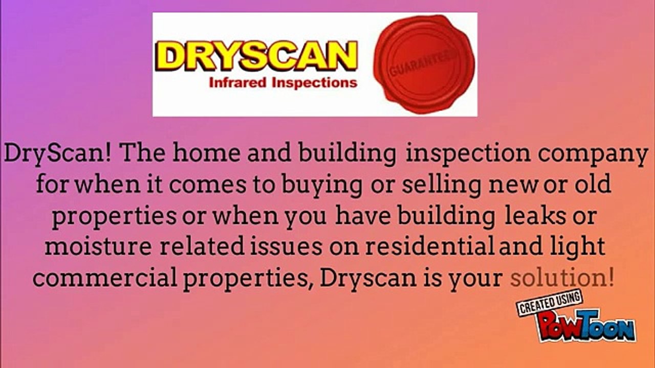 Top Building Inspection Services in Auckland at Low Cost