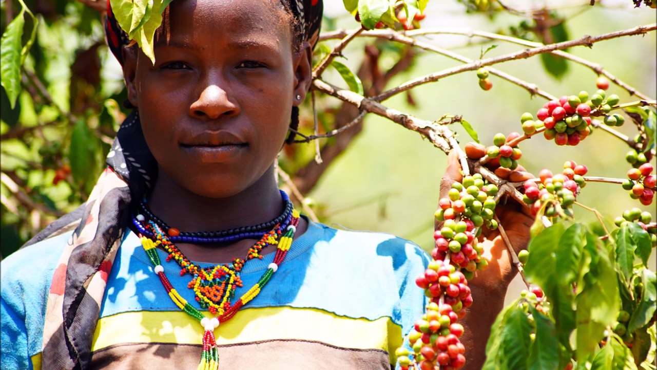 Africa isolated and primitive tribe Hamar (Hamer)Ethiopia, Rituals and ceremonies of the tribe