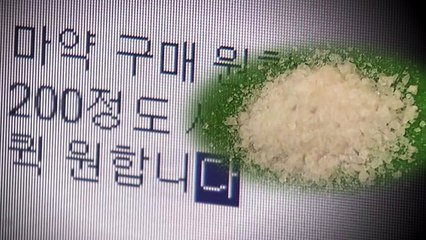 "초등교사와 공무원까지..." SNS로 마약 무차별 확산 / YTN