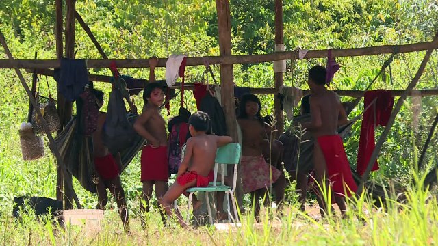 Tribe sharpens arrows against Amazon invaders