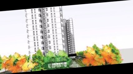 DNR Casablanca Review