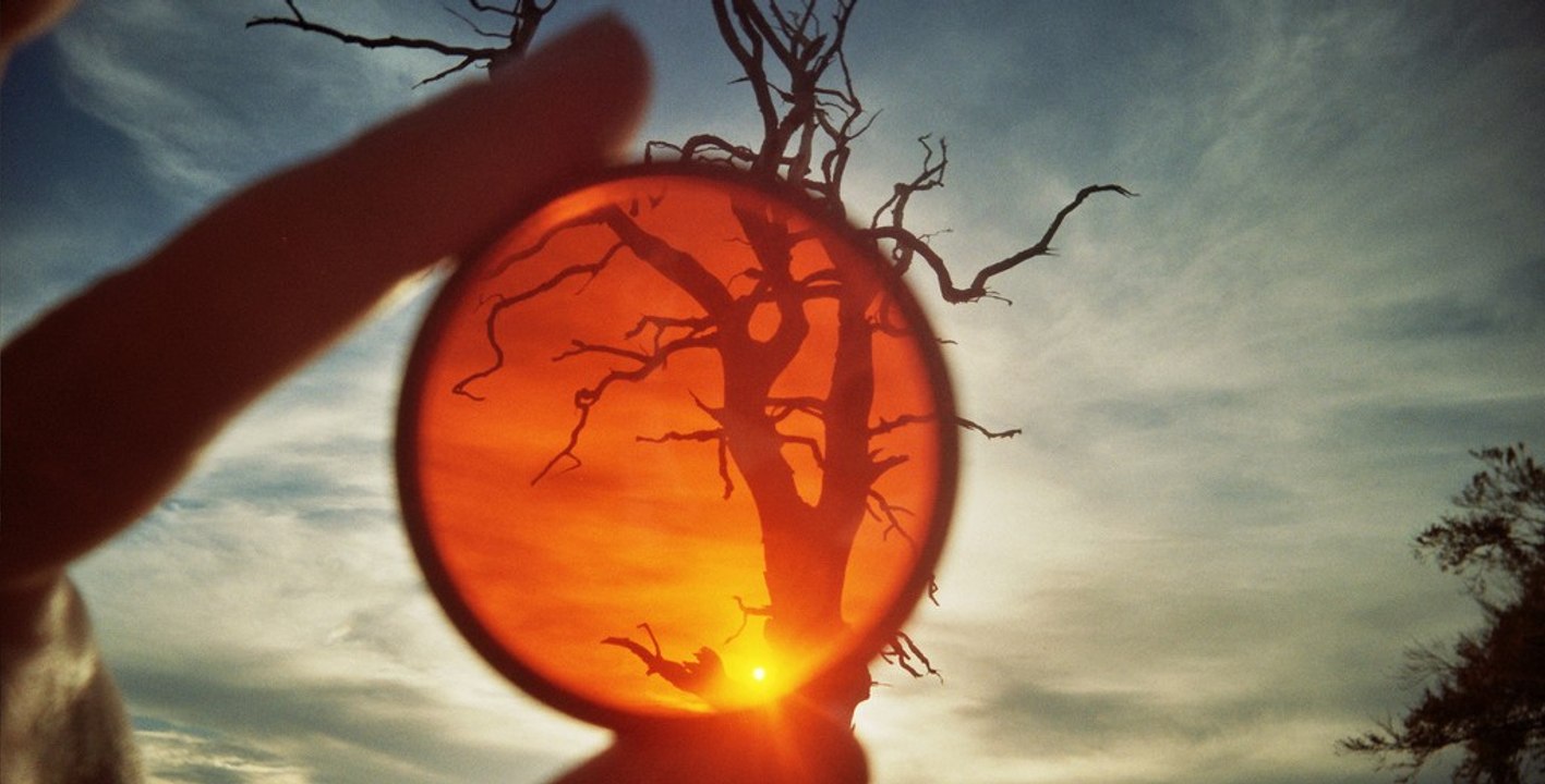 Filtros Polarizantes de Luz (Filtro óptico),  Ejemplos de funcionamiento