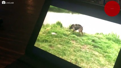 Eski dostunu teknoloji sayesinde gördü