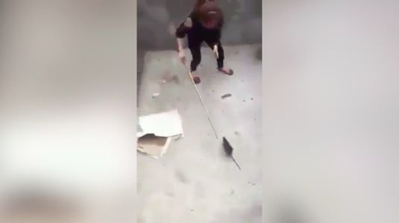 Ce n'est pas la petite bête qui va manger la grosse !