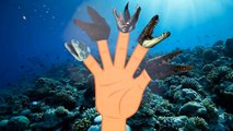 The Finger Family sea monster Dinosaur Rhymes | Sea Animals Finger Family Songs For Baby Dinosaurs