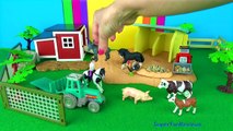 12 Toy Farm Animals Kids Toy Collection - Pigs Cows Sheep - in English