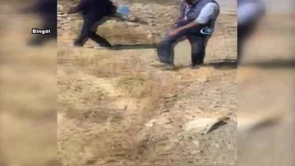 Başı Teneke Kutuya Sıkışan Ayıyı İşçiler Kurtardı