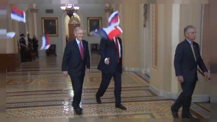 بالفيديو: متظاهر يرمي ترامب بأعلام روسية