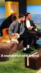 03 Oct 2017 - Adam Anderson via Instagram Story