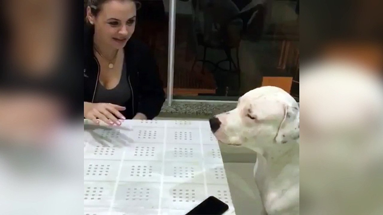 Quand ta copine veut  toucher ton téléphone !