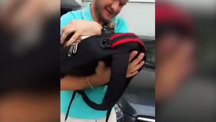 Ce chat a eu beaucoup de chance !