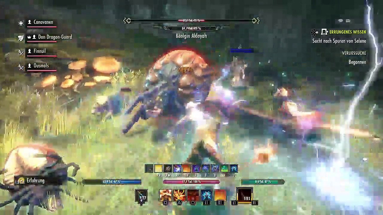 DonAleszandro The Elder Scrolls «-Mit dem Dragon-Guard durch Selenes Netz-» (165)