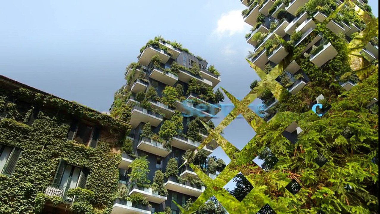 Tree Pruning And Trimming Service In Boise