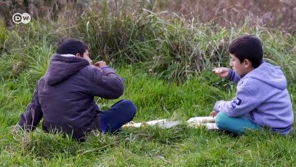 Calais'de kalan mültecilere kötü muamele iddiaları