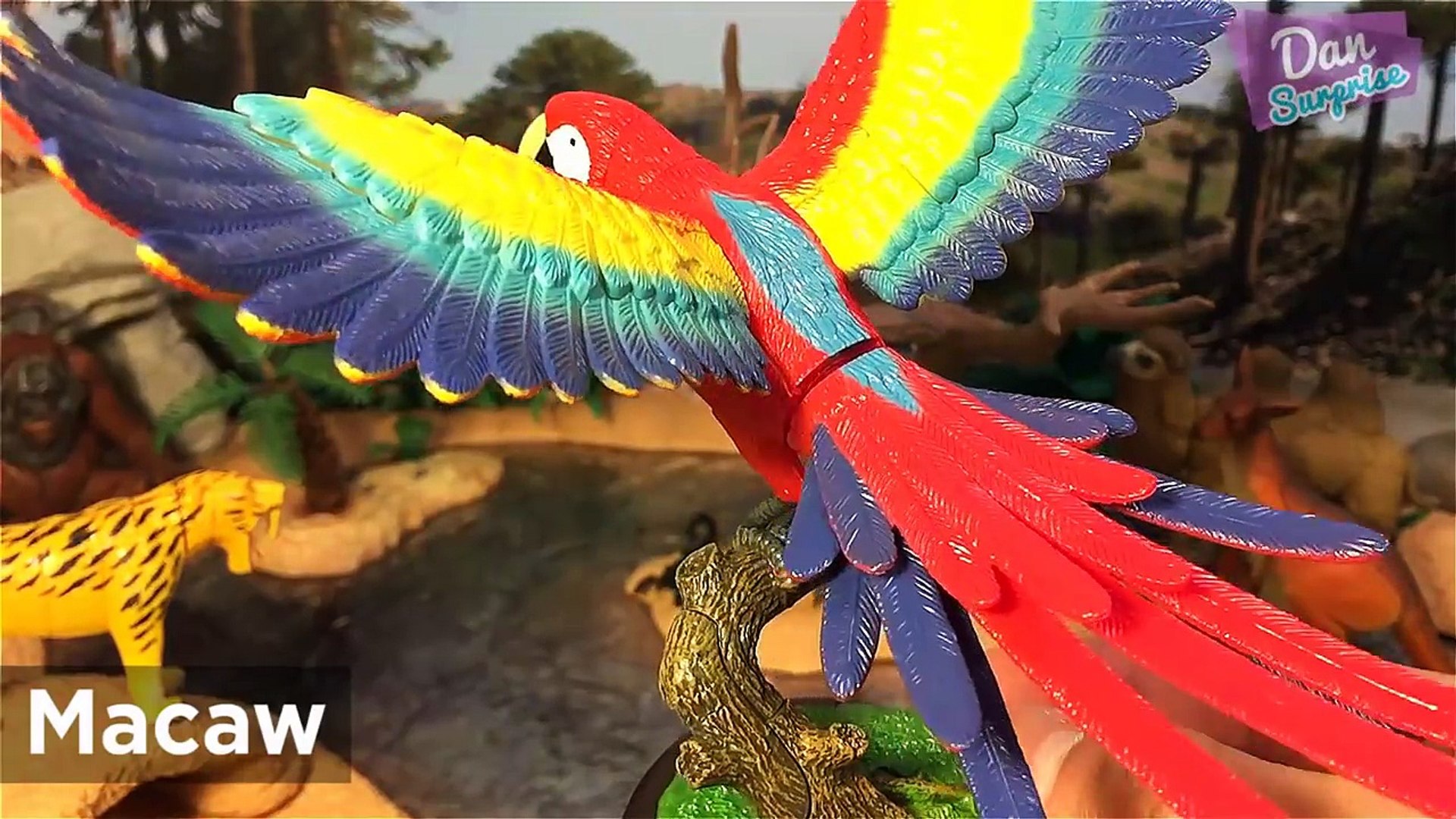 11 EXOTIC WILD ANIMALS SURPRISE TOYS for kids 3D PUZZLES - Kangaroo Macaw Meerkat Red Panda