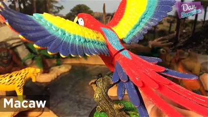 11 EXOTIC WILD ANIMALS SURPRISE TOYS for kids 3D PUZZLES - Kangaroo Macaw Meerkat Red Panda